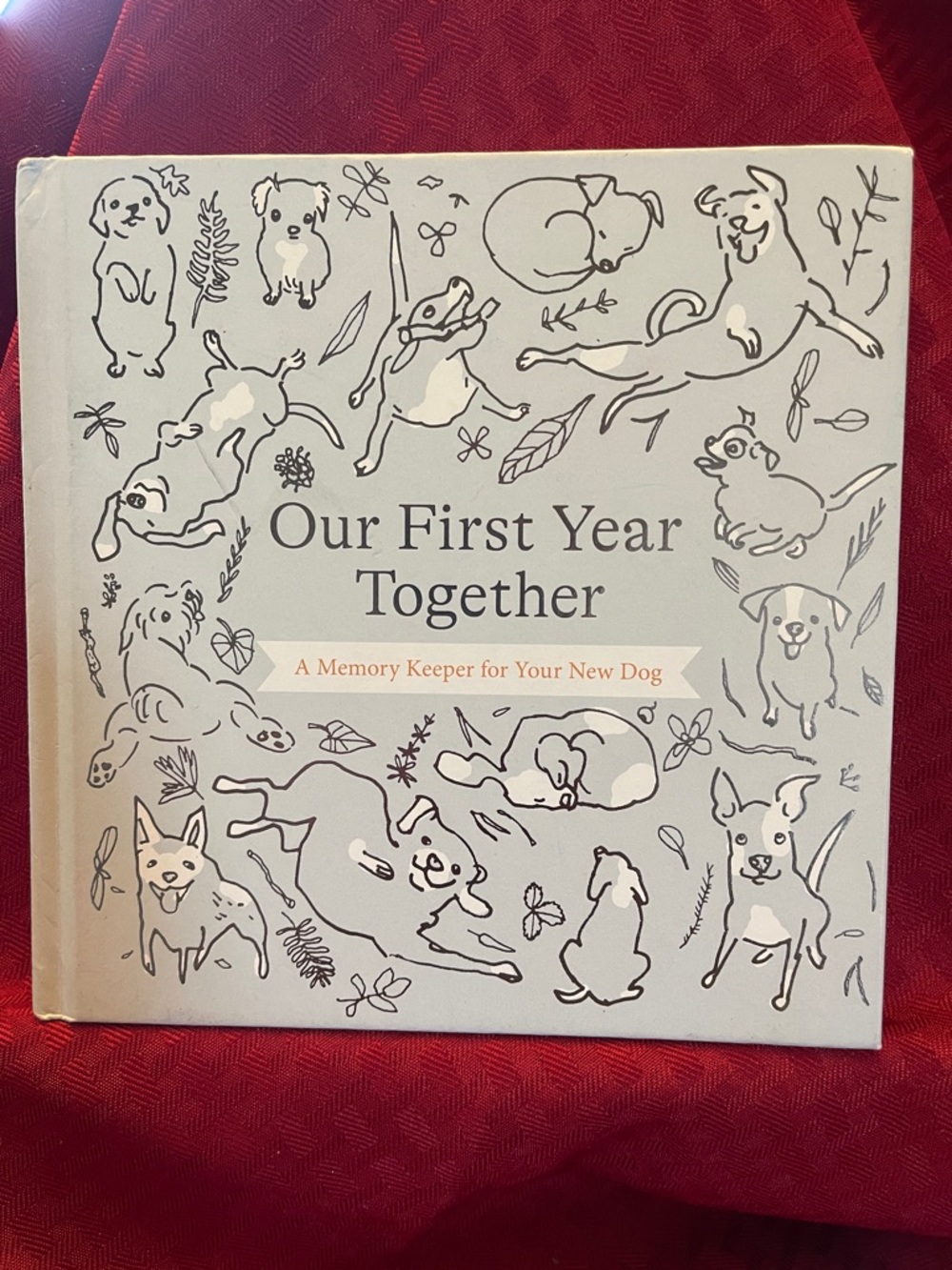 Our First Year Together - Cream Dog Memory Keeper